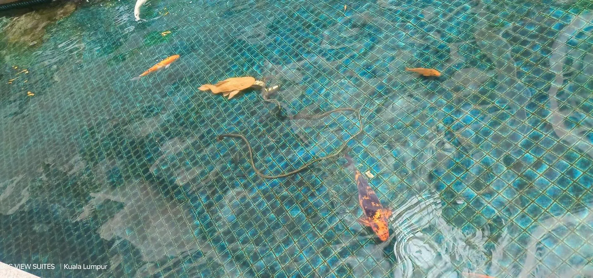 Serene Haven Kuala Lumpur 0*,  Malaysia