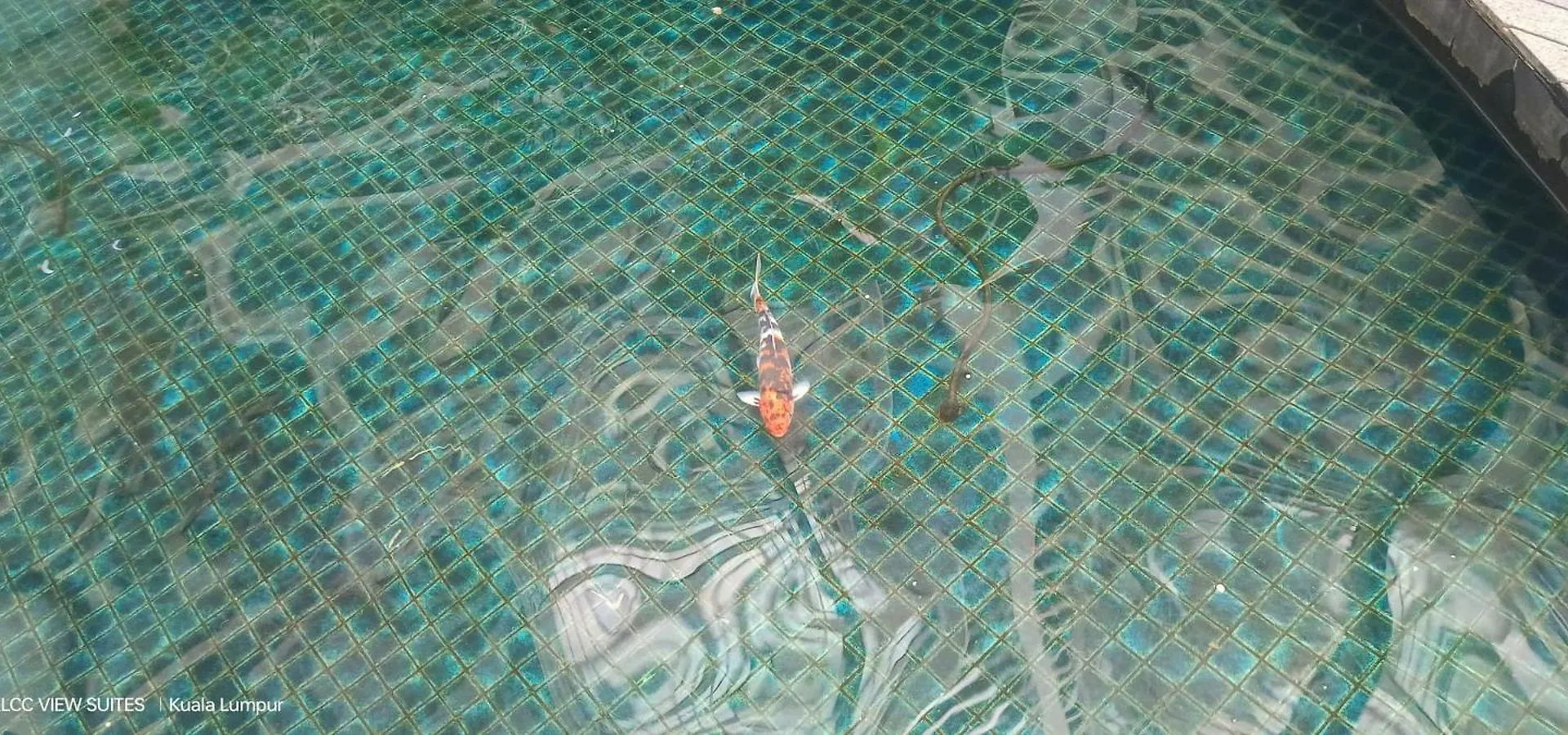 Serene Haven Kuala Lumpur